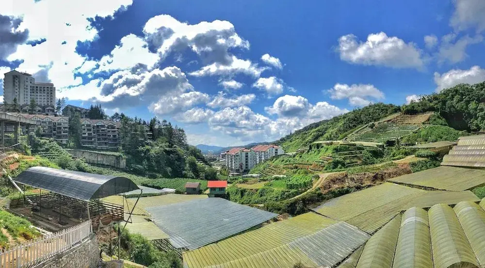 Kea Garden Mini Chalet