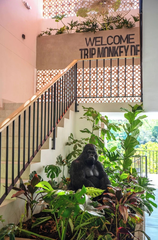 Trip Monkey del Río