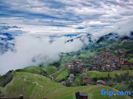 Longji Rice Terraces Ivy Homestay