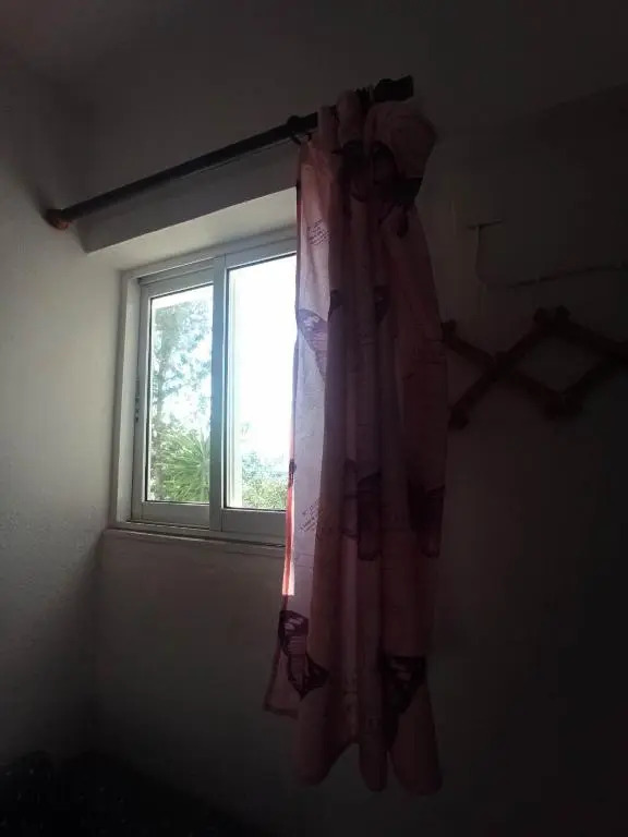 Selena Rooms