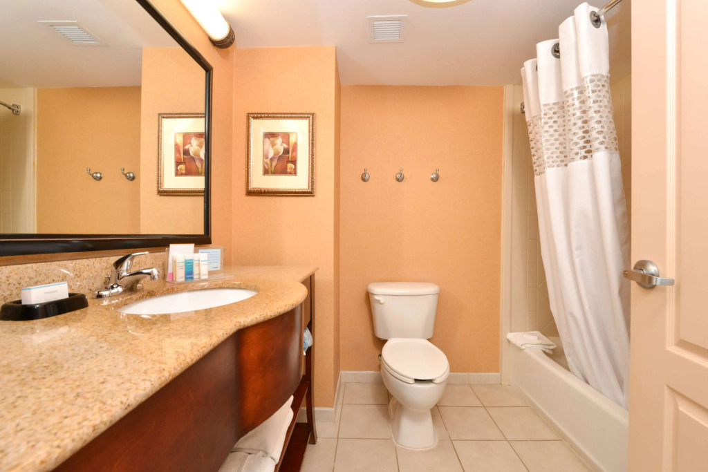 Hampton Inn and Suites Fredericksburg South