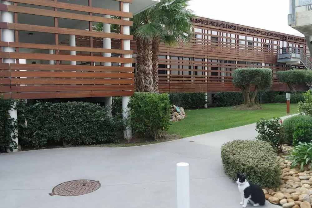 Golf Clair - 11