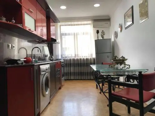 Flat Abashidze Avenue 56