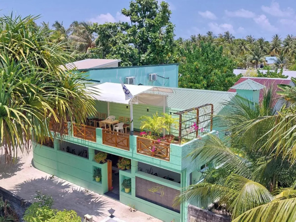 Turtle Maldives - Your Gateway to the Beach & Marine Adventures Await