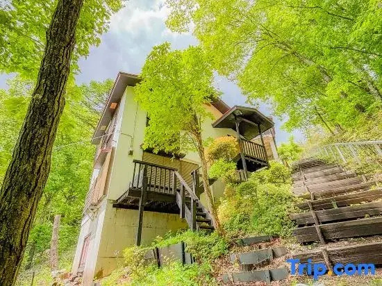 Private hot spring! Private house! Free movie!