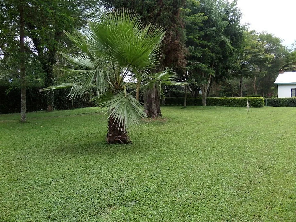Kasi Tembo Rest House