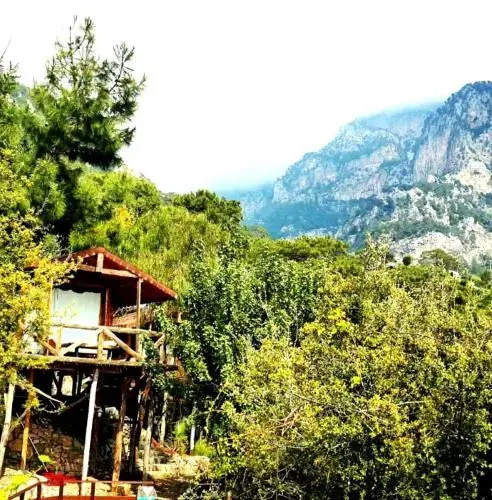 Kabak Natural Life