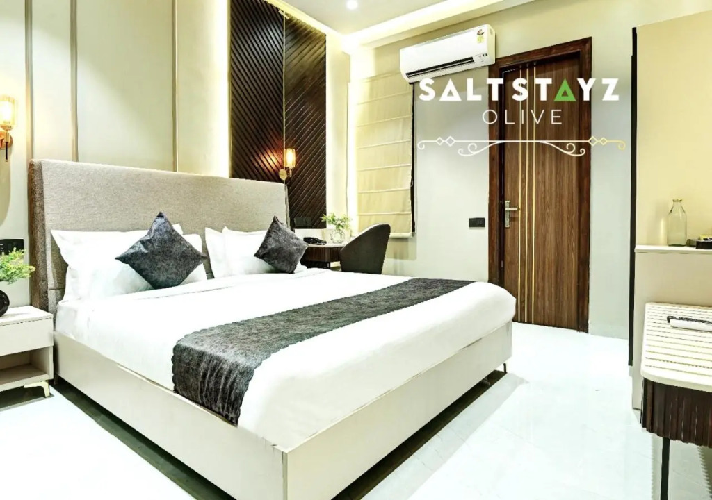 Saltstayz Select - Pitampura