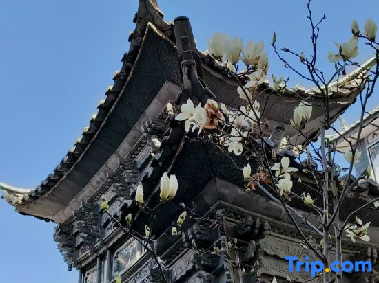 Mengyuxuan · Zhenhai Garden Impression Resort Homestay (Erhai Ecological Corridor Branch)