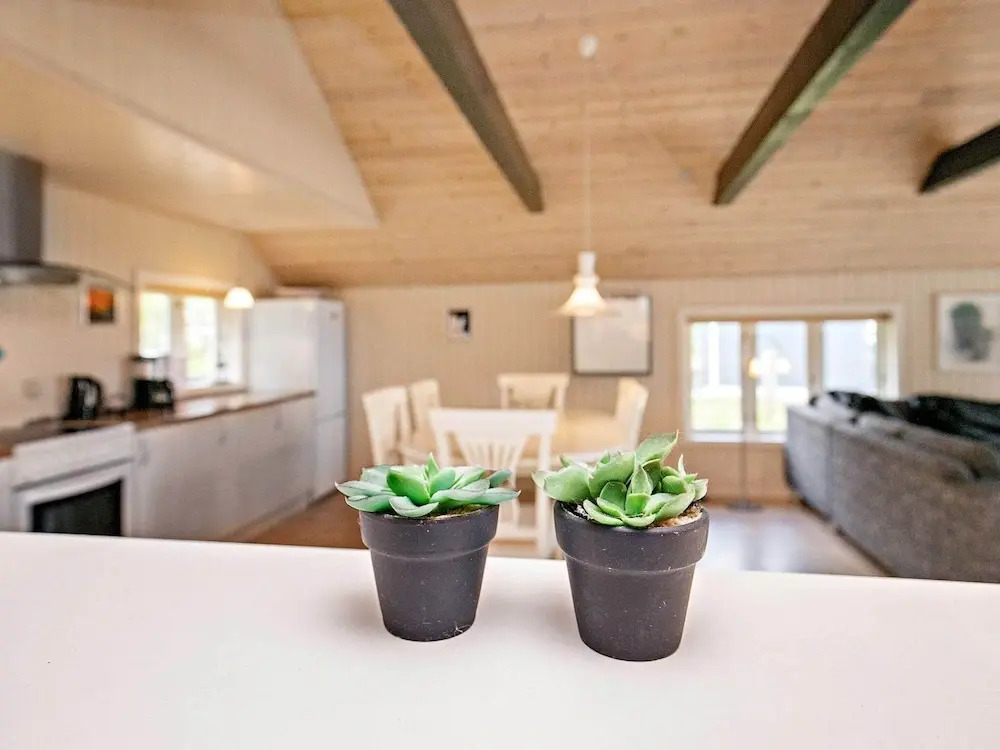 4 Person Holiday Home in Hurup Thy-by Traum