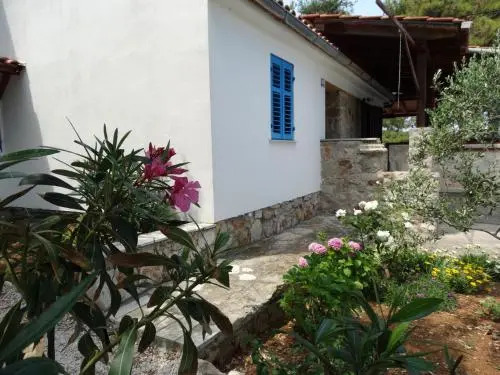 Petrcane house
