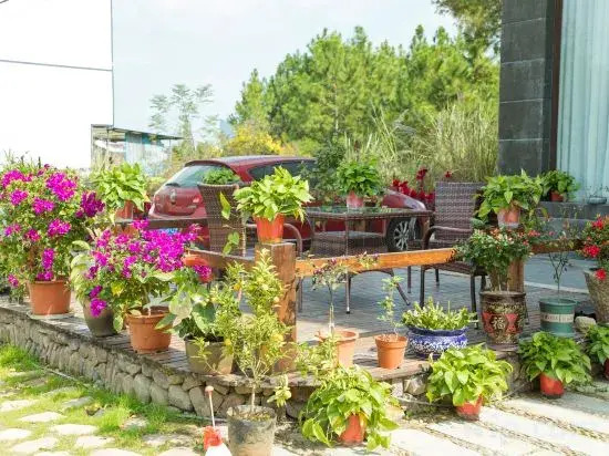 Xiangyuxuan Homestay in Xianju County