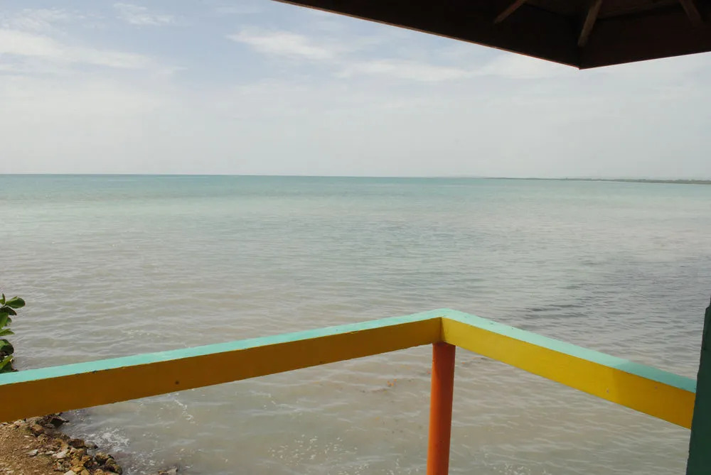 Bluefields on the Bay