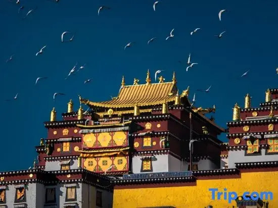 Jingyue·City View | CHILL LUXURIOUS INN Oxygen-Enhanced Heated Homestay (Dukezong Ancient Town)
