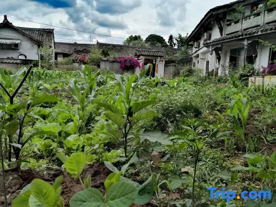 Sanjiang Youjian Courtyard