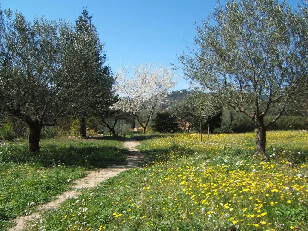 La Radassière