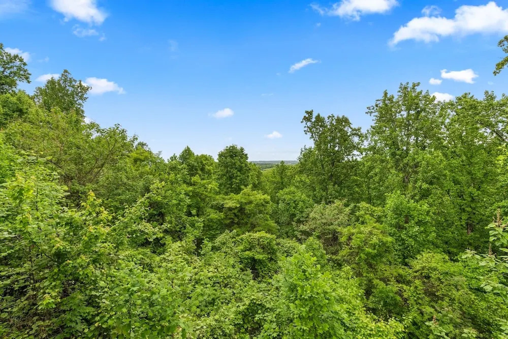 Panoramic View 6 Bedroom Cabin by RedAwning