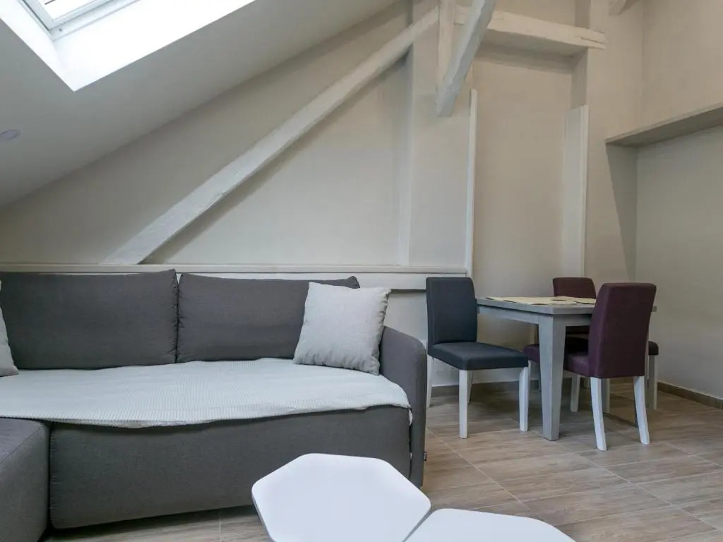 Premium City Center TOP LOCATION apartments