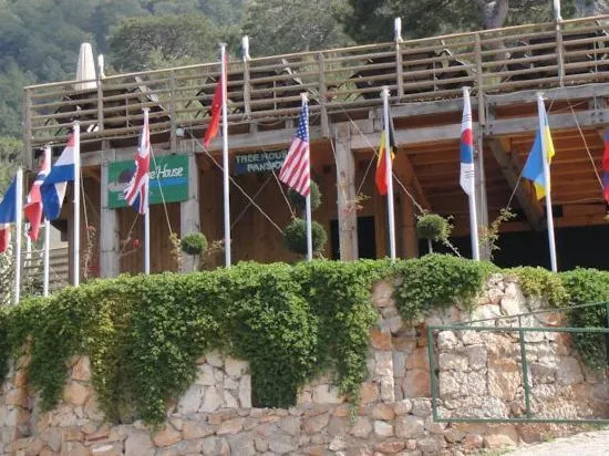 Tree Houses Hotel