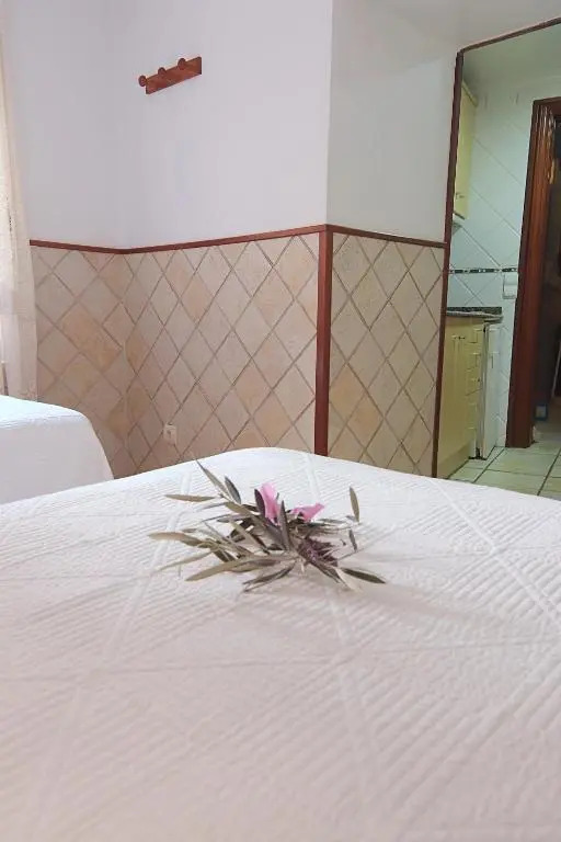 Estudios Casa Lola de Talarn