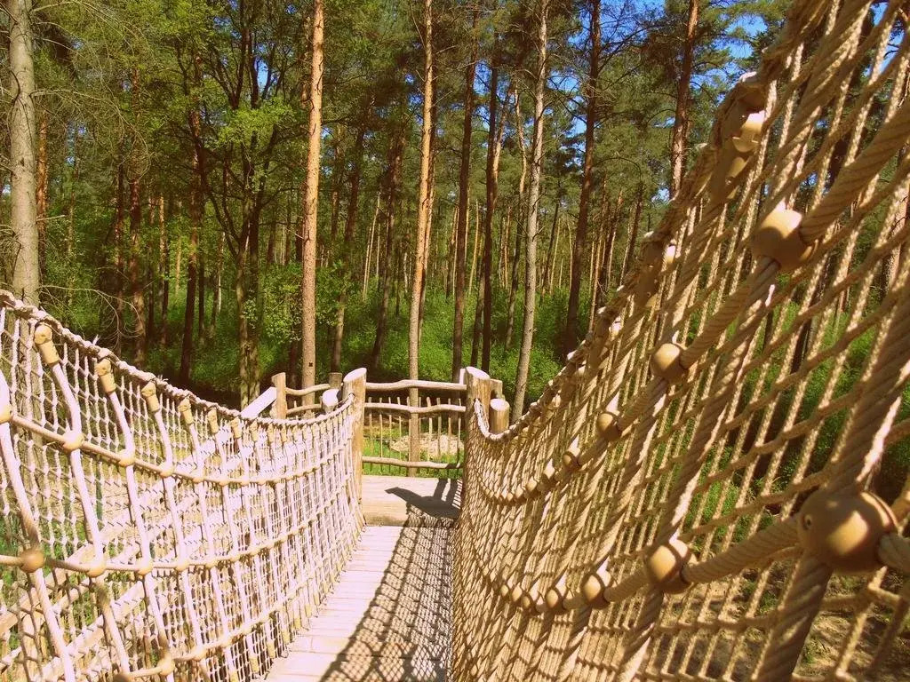 Tree Inn - Das Baumhaushotel