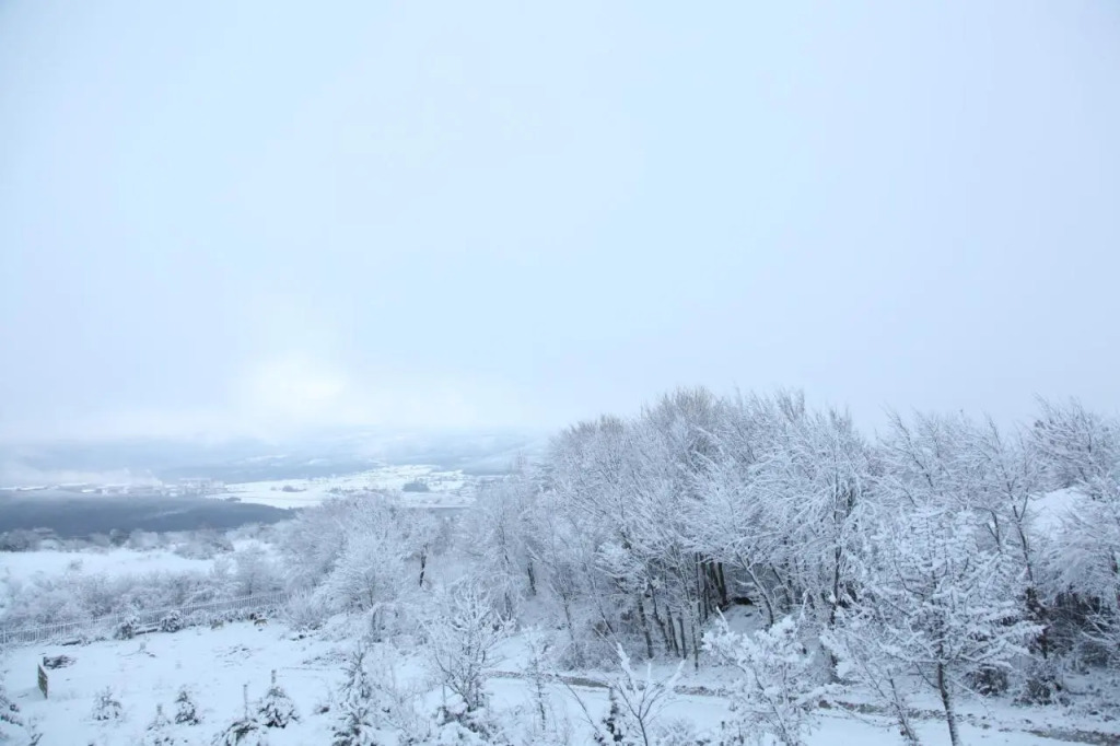 Yaban Yasam Chalets