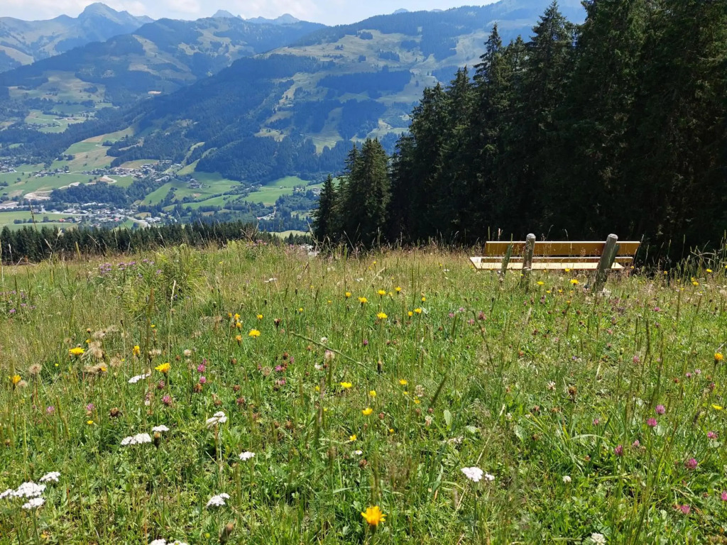Angererhof