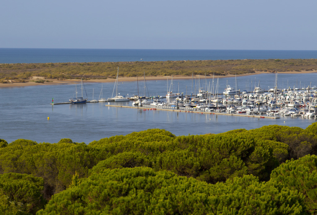 Playacartaya