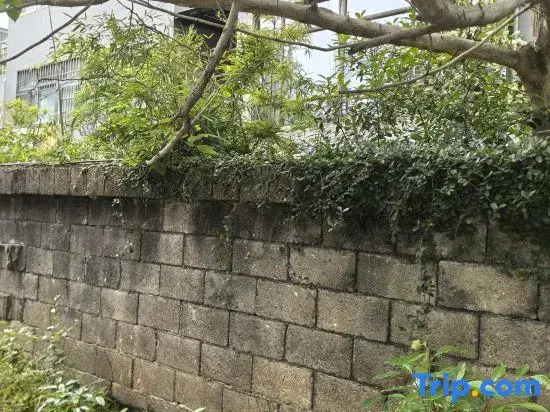 Lily Grocery Homestay (Taoxichuan Creative Plaza)