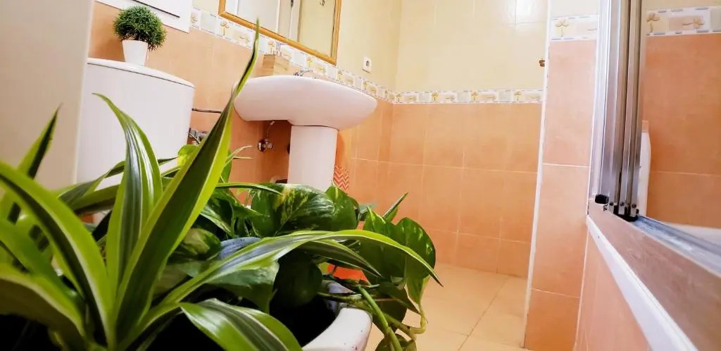 Apartment in Roquetas Near Beaches