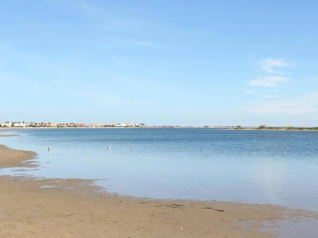 Appartement Gruissan, 1 Pièce, 4 Personnes - Fr-1-229-770