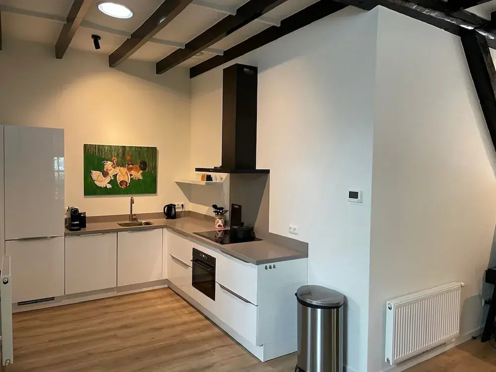 Apartment in Wageningen Near Rhine River