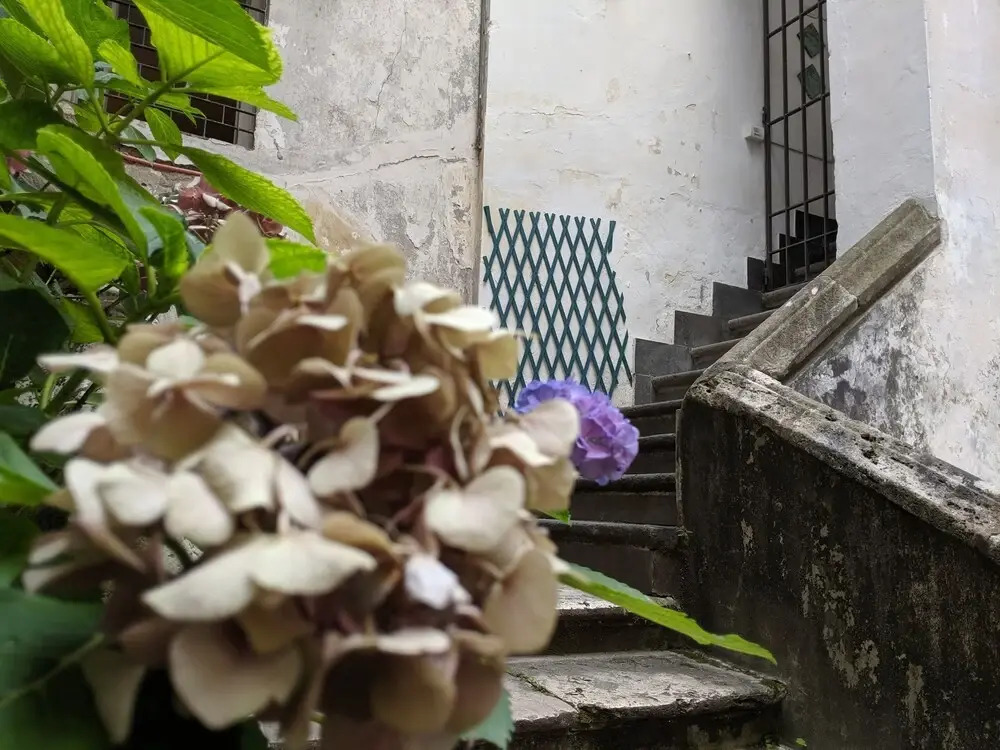B&B Piazza Alfano Studios Salerno