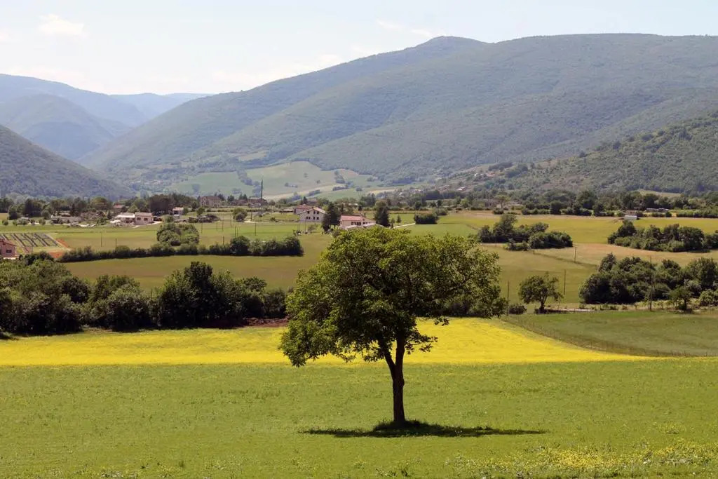 Agriturismo Il Casale Degli Amici