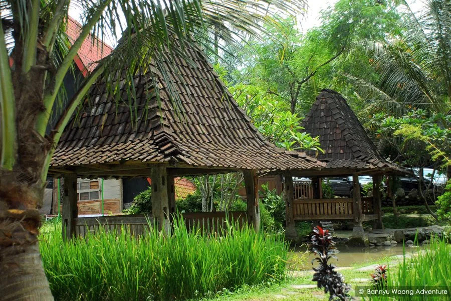 The Pikas Resort