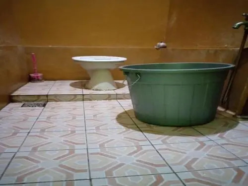 Jungle Tribe Guesthouse