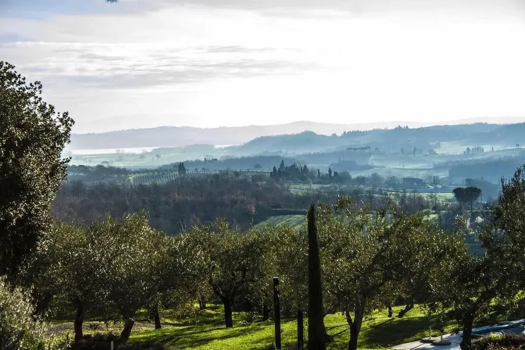 Poggio Piglia