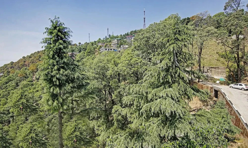 Treebo Trend Nature Peace