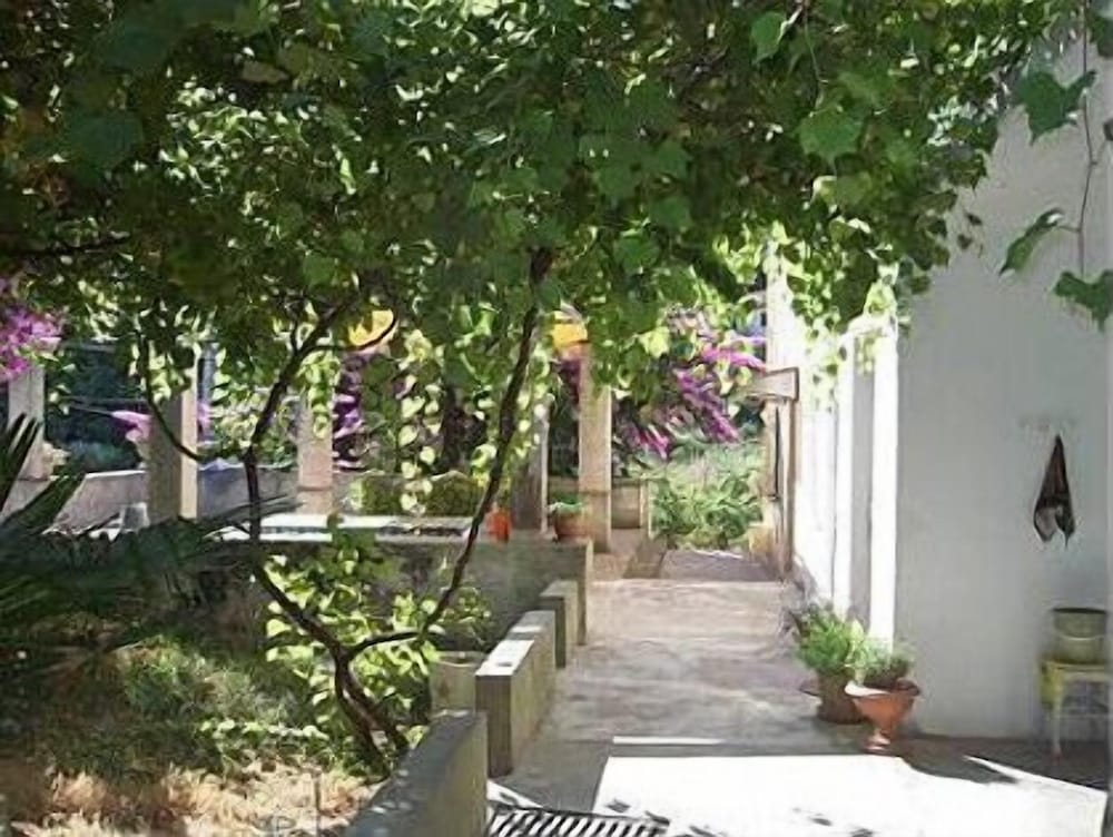 House Vese