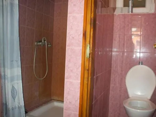 Vadvirag Vendeghaz