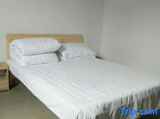 Shenzhen Xulong Apartment