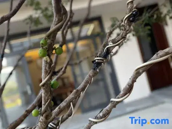 Yunshuiyao • Xidu | Countryside Mountain View Homestay (Big Fish & Begonia Branch)