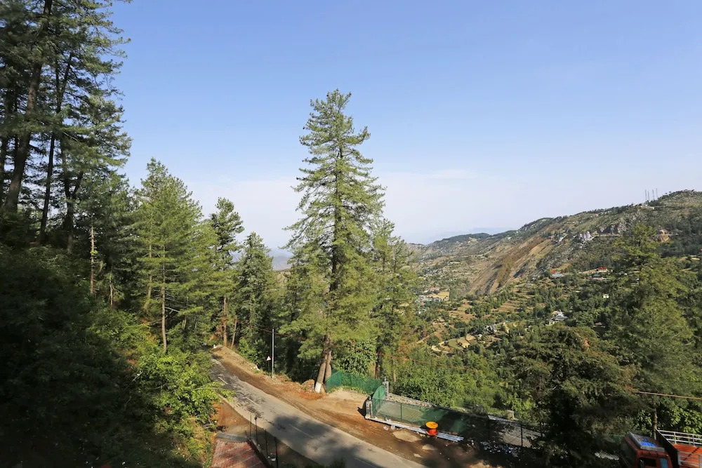 The Naldehra