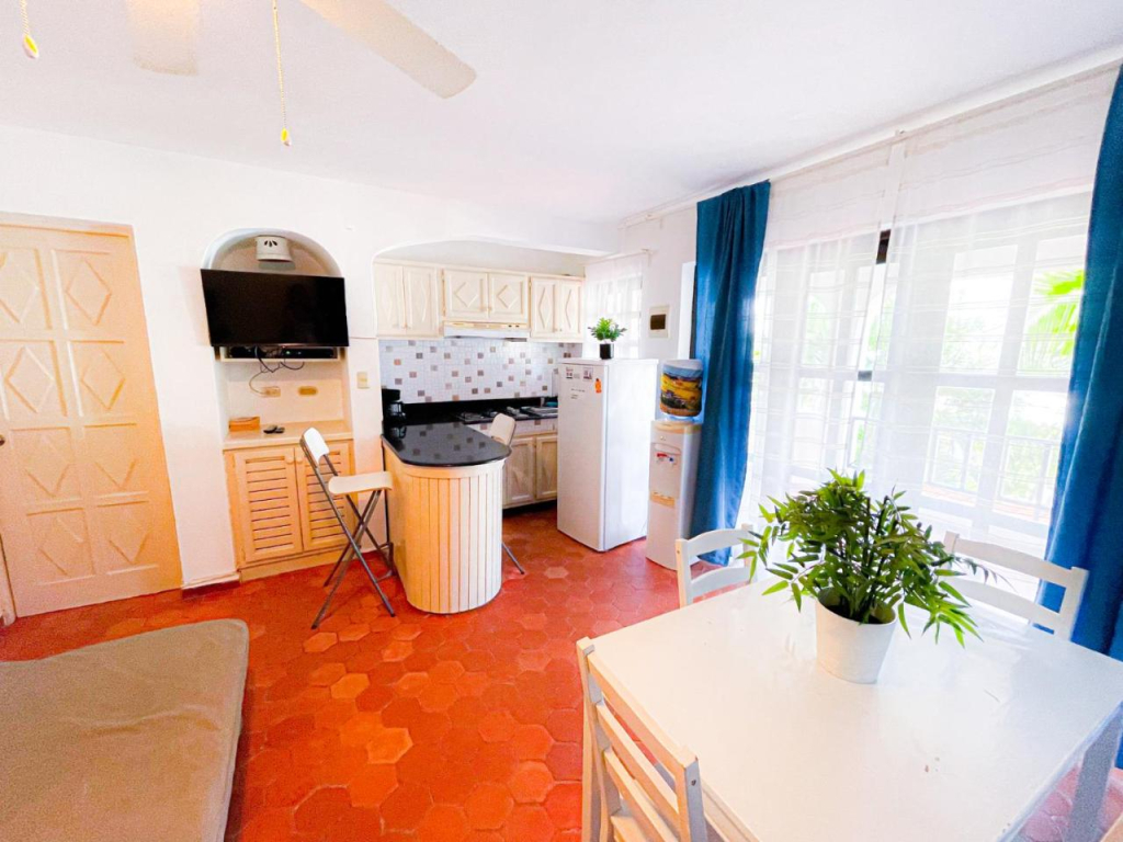 Palmera Penthouse - Scv 103881