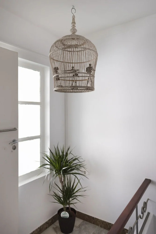 Lemon Hostel Faro