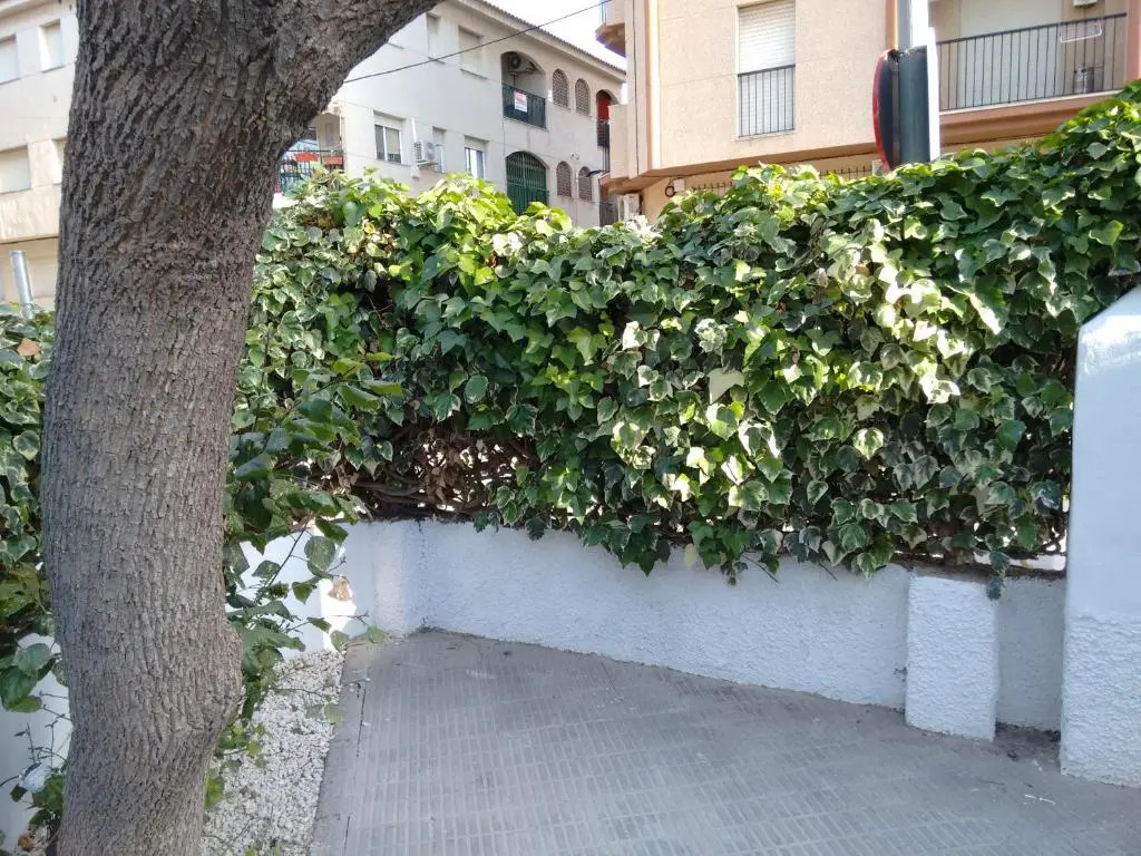Chalet II con jardín y wifi en la playa
