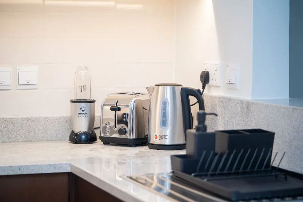 Luxurious 1BR in Downtown