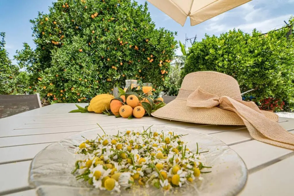Olgas Organic garden Home for a couple! with Wifi & AC