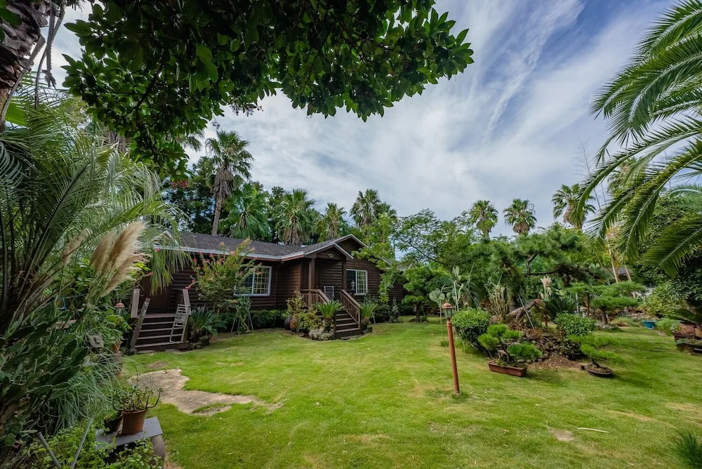 Seogwipo Baelritongnamubilriji Pension