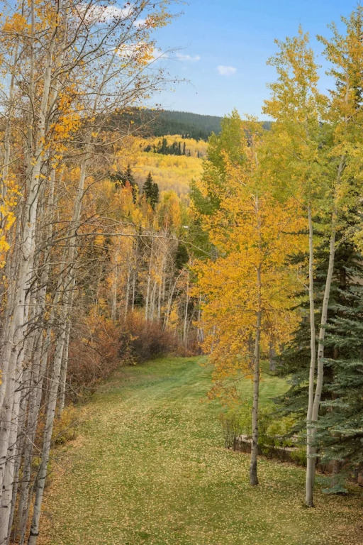 Two Creeks by Snowmass Vacations